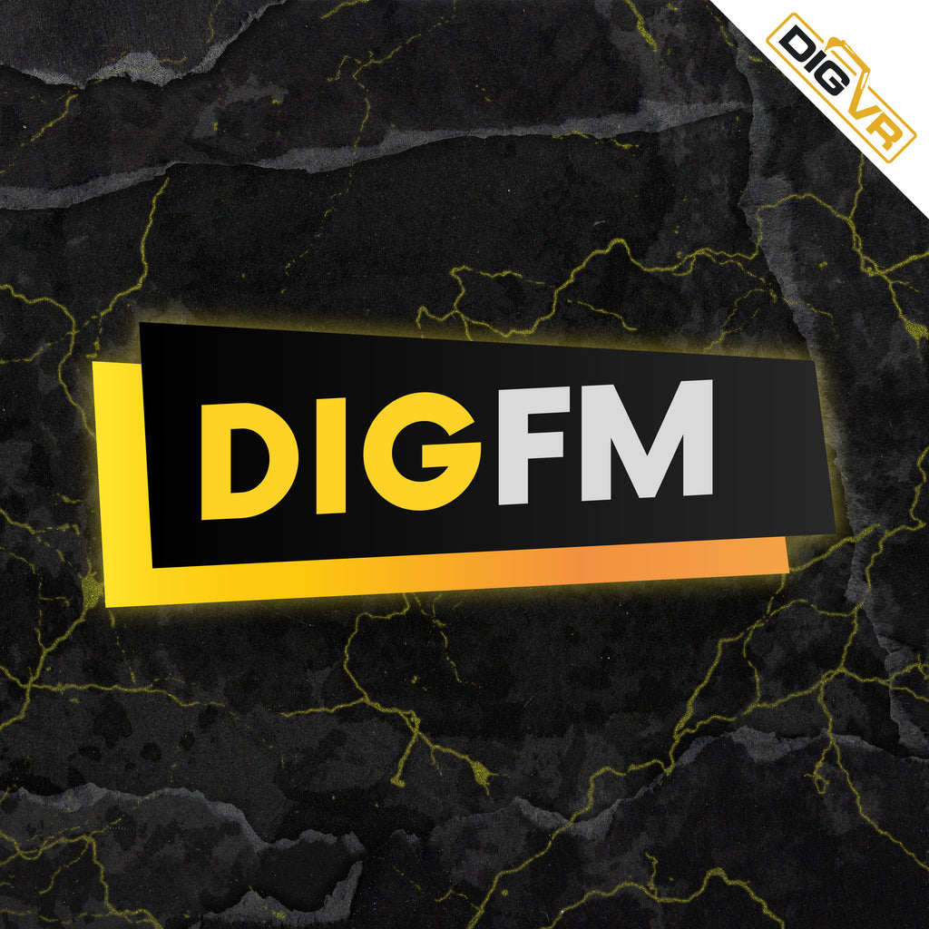 Groundbreaking Brand-New Radio Station DIG FM Featuring Major Artists Bridges the Gap Between Music and Games